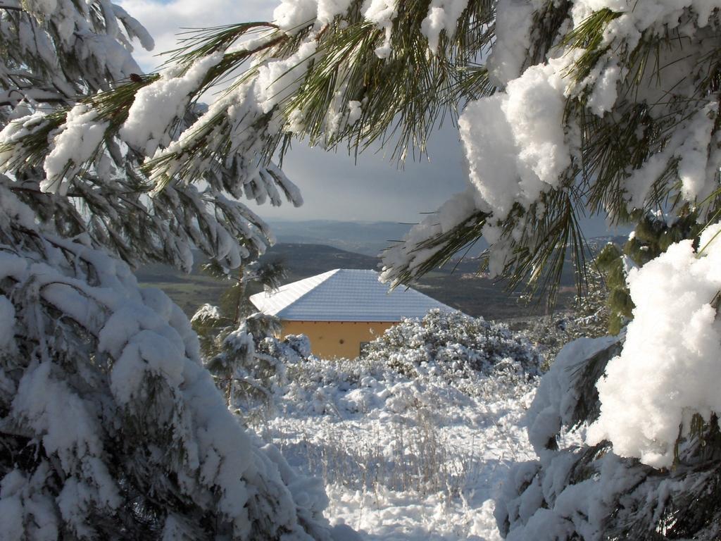 First Light Cabins Amirim Eksteriør billede